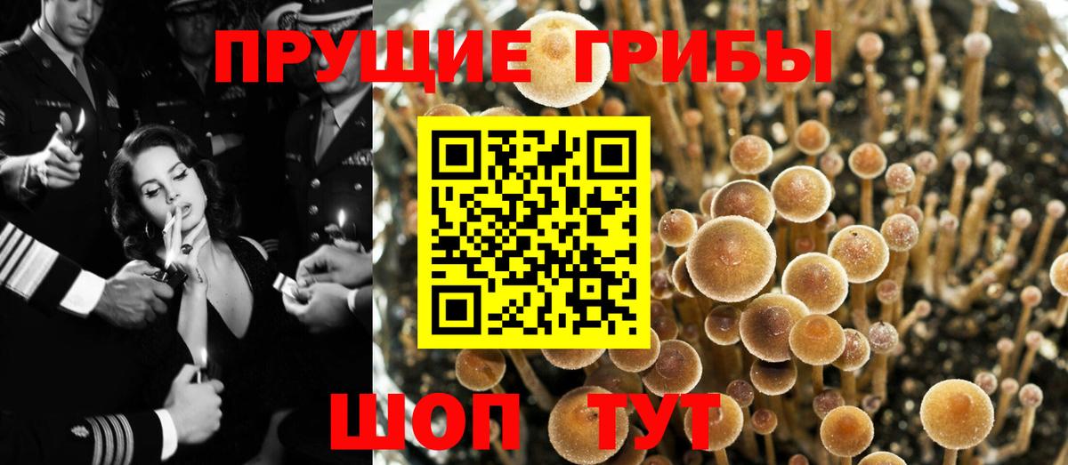 Галлюциногенные грибы Magic Shrooms Пыть-Ях