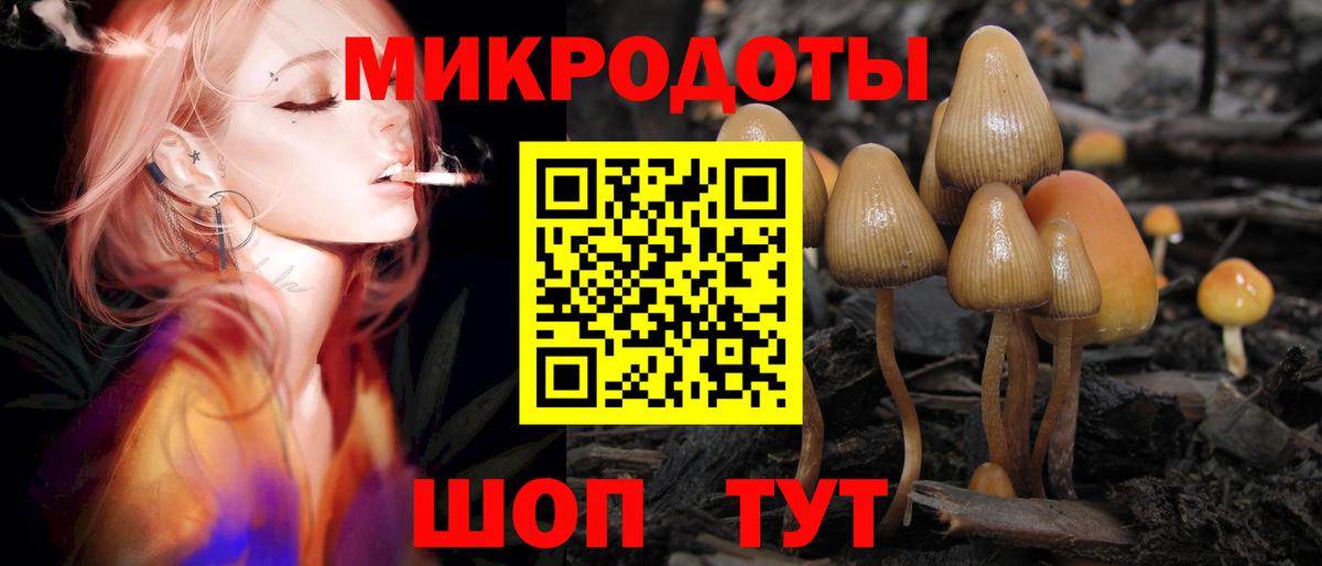 Пыть-Ях  Галлюциногенные грибы Cubensis  Вход с VPN 